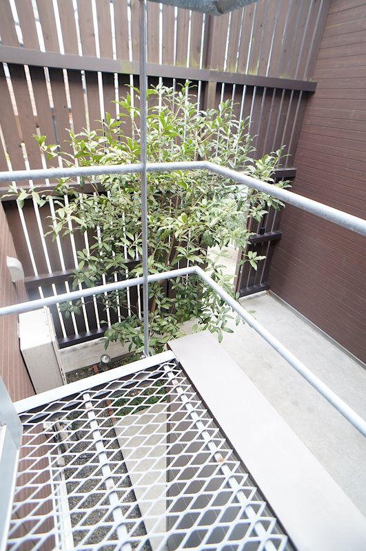 �y���]�z�@